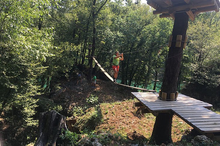 Posamezniki 5 let in več